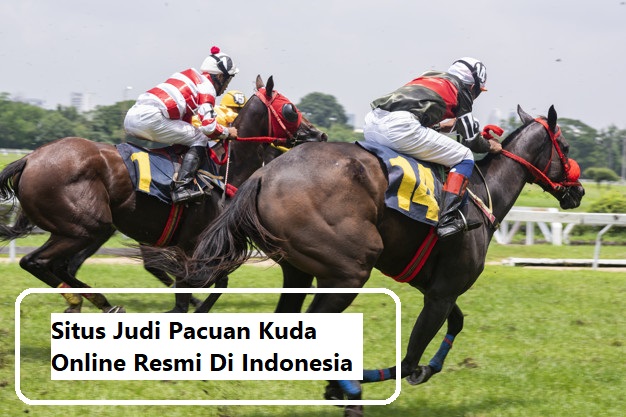 Situs Judi Pacuan Kuda Online Resmi Di Indonesia